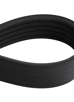 A close-up image of the AGCO | BELT - D41990060, a black, multi-ribbed serpentine belt in a looped shape from the brand AGCO. Product description information is currently unavailable.