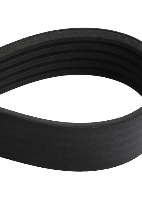 A close-up image of the AGCO | BELT - D41990060, a black, multi-ribbed serpentine belt in a looped shape from the brand AGCO. Product description information is currently unavailable.