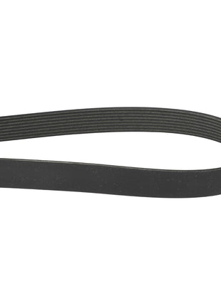 A close-up image of the AGCO Serpentine Belt, 8PK in black with an aramid cord (product number A3289503), featuring a ribbed inner surface commonly used in automotive engines. For any questions or assistance with ordering, please contact our support team.