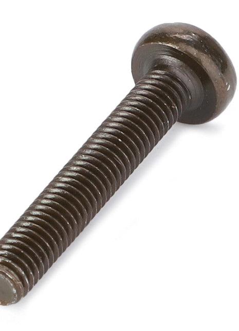 A close-up of a single threaded AGCO | Screw - Va021644 with a round head shines under the light.