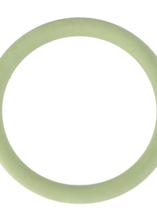 A green AGCO O-Ring for Control Valves, measuring Ø 20.00 x 2.50 mm (F716961030030), rests on a white background.