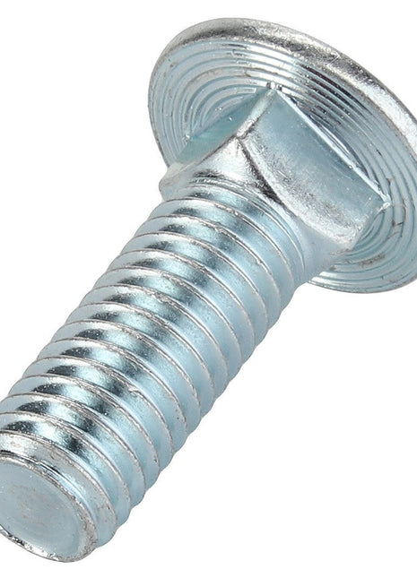 Close-up of the AGCO Carriage Bolt - Acp0029920. The bolt features a flat, circular head and a precisely threaded shaft, reflecting light off its smooth metal surface.