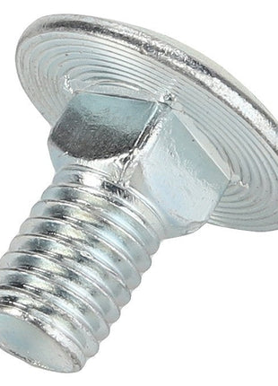AGCO | ROUND HEAD SQUARE NECK CARRIAGE BOLT - D46150437