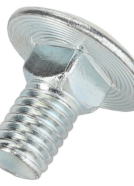 AGCO | ROUND HEAD SQUARE NECK CARRIAGE BOLT - D46150437