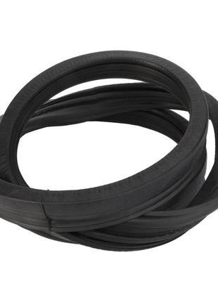 The AGCO Seal - Acp0324690, a coiled rubber gasket commonly used for mechanical or automotive applications, displayed against a white background. No current product description is available for this item.