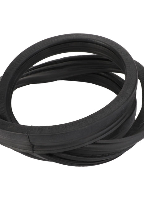 The AGCO Seal - Acp0324690, a coiled rubber gasket commonly used for mechanical or automotive applications, displayed against a white background. No current product description is available for this item.