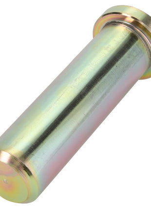 A metallic cylindrical pin with a slightly flared end and a smooth surface finish, known as the AGCO | Pin - Acp0233310 by the brand AGCO. No current product description available.