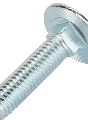 AGCO | TRUSS HEAD SCREW - 0903-10-17-00