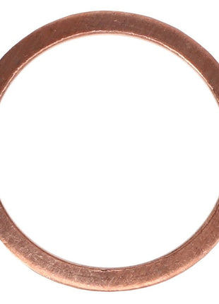 A circular, flat metal washer with a smooth surface, identified as the AGCO | Sealing Ring - 1118700, shown against a plain white background. Brand Name: AGCO. No current product description available.