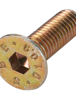 AGCO | Flat Socket Head Capscrew - 3009431X1 - Farming Parts