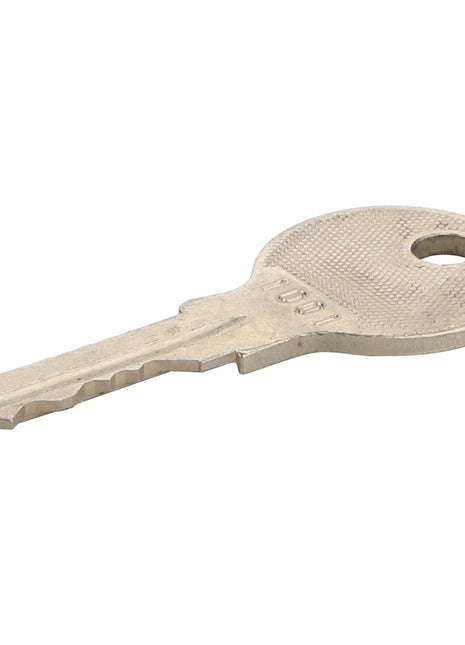 A single AGCO key - D43419102 with a round head and a small hole near the top lies flat on a white surface. There is no current product description information available for this item.