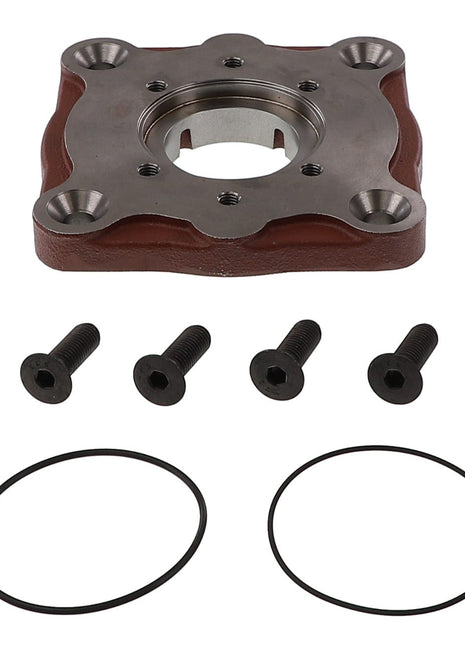 Product: AGCO | PUMP INSTALLATION - AG331451 by AGCO, featuring a metal plate with five screw holes, four black screws, and two rubber O-rings, all arranged on a white background. No current product description information is available.