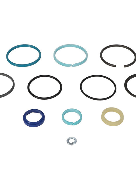 The AGCO Seal Kit - 3007156X1, featuring an array of rubber and metal O-rings and sealing washers in various sizes and colors, is displayed on a white background. No current product description available for this item.