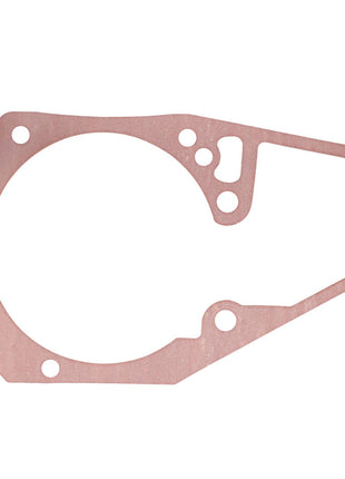 Introducing the AGCO | Seal - F119200710100: a high-quality, thin, brown gasket featuring multiple holes and an irregular shape, ideal for sealing mechanical components to prevent fluid leaks.