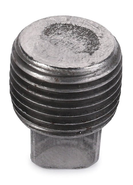 Close-up of the AGCO | PIPE PLUG - AG559342, featuring threaded sides and a flat, circular top.