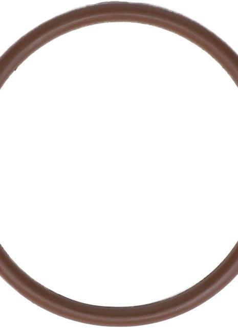 A brown rubber O-ring, labeled as AGCO | Gasket - Ag053053, shown in a circular shape against a plain white background. No product description is provided by the brand AGCO.