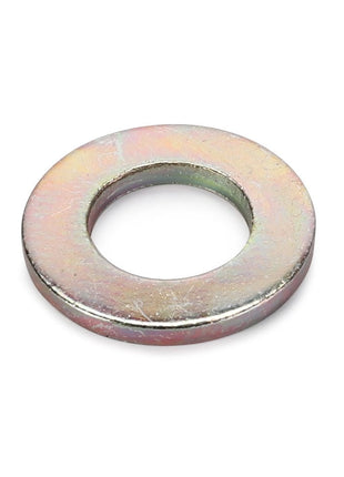 Product Description Needed: The AGCO Disc - Fel115972, a flat metallic washer with a central hole, is shown against a plain white background.