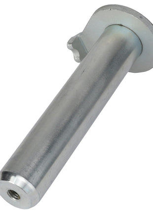 AGCO | Pin - Acp0381700 - Farming Parts