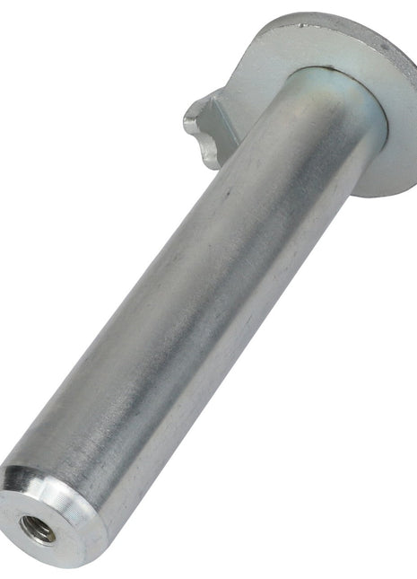 AGCO | Pin - Acp0381700 - Farming Parts