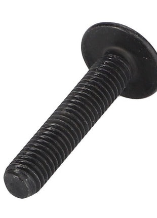 The AGCO Torx Head Screw - Acw7056640 is a black metal screw bolt featuring a flat, circular head and a threaded shaft. Specific product description information is currently unavailable.