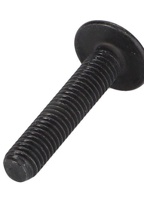 The AGCO Torx Head Screw - Acw7056640 is a black metal screw bolt featuring a flat, circular head and a threaded shaft. Specific product description information is currently unavailable.