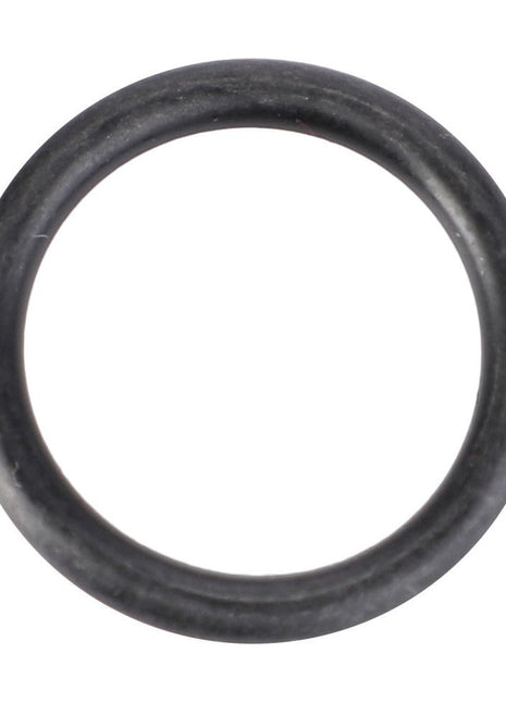 AGCO | O-Ring, Ø 15,3 X 2,4 Mm - X548844266000 - Massey Tractor Parts