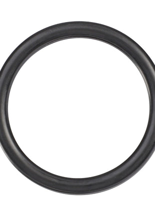 A black rubber O-ring with a circular shape, viewed from above, on a white background. This item is the AGCO Sealing Washer - F716150070060 by AGCO. Additional product description information is currently unavailable.