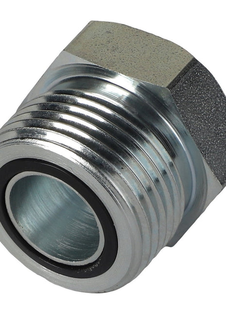 The AGCO | HEX HEAD PLUG - AG519379 is a metallic threaded pipe plug featuring a hexagonal head and an O-ring seal. Currently, there is no additional product description information available.