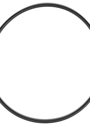 AGCO | O RING - AG335056