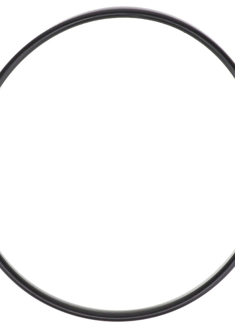 AGCO | O RING - AG335056