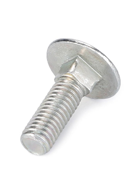 Close-up of the AGCO Truss Head Screw - Fel116224 featuring a silver round-headed design with a threaded shaft, displayed on a white background. No current product description available.