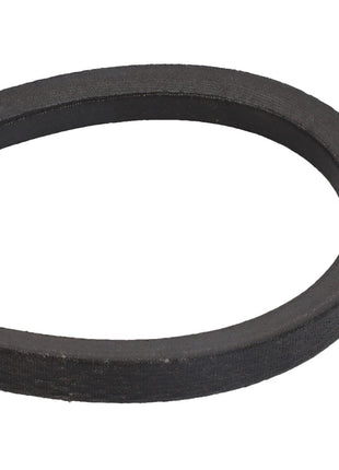 Close-up of a single black V-belt, the AGCO | BELT - D41963900, commonly used in machines for power transmission. No current product description information is available.