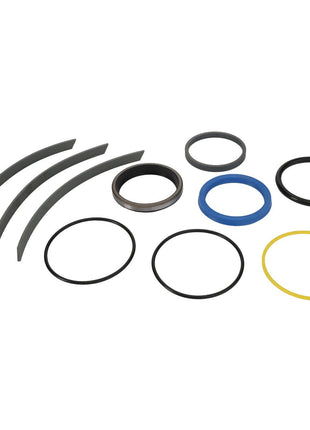 The AGCO SEALS KIT - D45110087 showcases a meticulously arranged collection of o-rings and gaskets in diverse shapes and colors, all presented on a pristine white background.