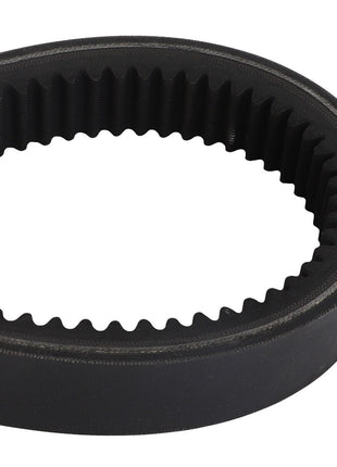 A close-up view of an AGCO industrial timing belt (model D41980000) in black, featuring teeth on its inner surface and forming a loop. No current product description information is available.