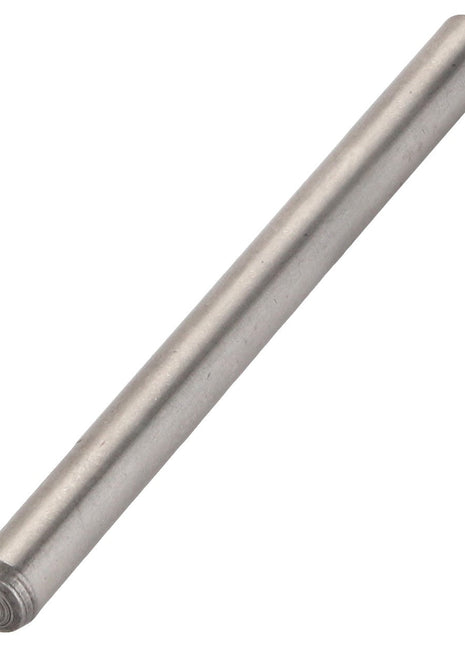 A single metal rod with a smooth cylindrical shape and rounded ends, product name: AGCO | PIN - D42694101 by brand AGCO.