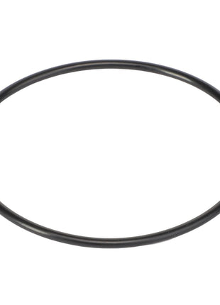 The AGCO | O-Ring - Ag006175, a meticulously positioned black rubber circle, is showcased against a spotless white background.