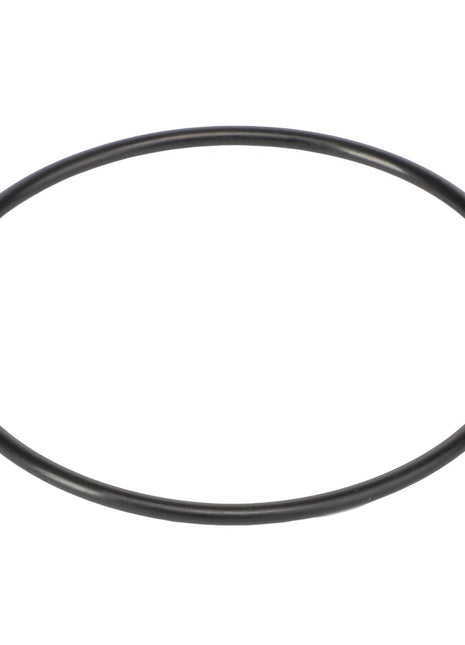 The AGCO | O-Ring - Ag006175, a meticulously positioned black rubber circle, is showcased against a spotless white background.