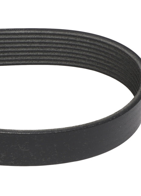 Close-up image of the AGCO | BELT - A71410502, a black automotive belt with a ribbed texture, perfect for your maintenance needs. For more details or assistance, our support team is ready to help.