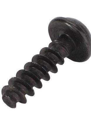 Close-up of a single black AGCO | Self Taping Screw - Acw9215480 with a round head and coarse-threaded shaft. No current product description information is available.