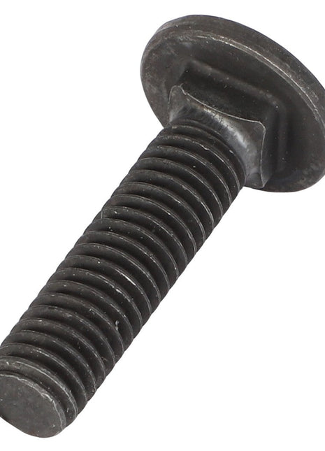 There is no detailed product description available at the moment, but it’s a black threaded metal bolt with a round, flat head. It's identified as the AGCO CARRIAGE BOLT - AG520944 by AGCO.