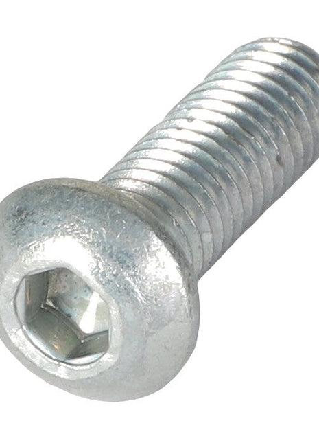 Close-up view of the AGCO SCREW - D40684800, a sleek silver hex socket cap screw featuring a threaded shaft and a rounded head.