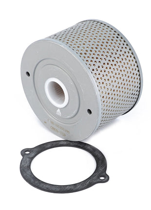 AGCO | Hydraulic Filter, Suction Filter (Cartridge) - F180100050290 - Farming Parts