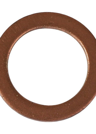 A metallic washer with a circular shape and a central hole, identified as the AGCO Sealing Washer (D45713700), shown on a white background. No current product description information is available.