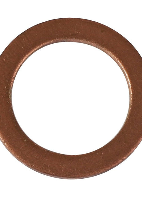 A metallic washer with a circular shape and a central hole, identified as the AGCO Sealing Washer (D45713700), shown on a white background. No current product description information is available.