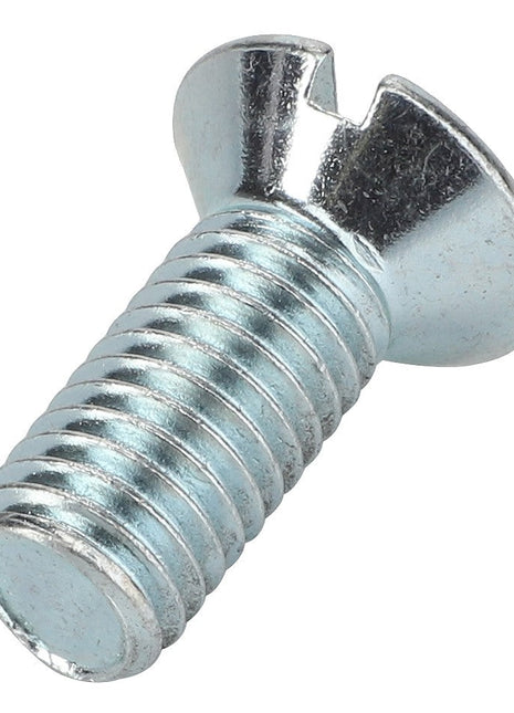 The AGCO | Screw - Va020448 is a silver slotted flat head screw featuring a threaded shaft. No current product description available.