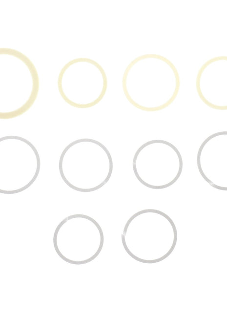 AGCO | Seals Kit - Acw6208900 - Farming Parts