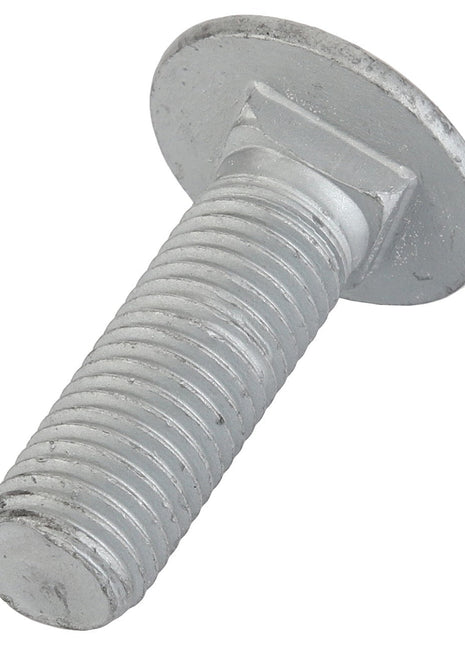 AGCO | Round Head Square Neck Carriage Bolt - Acw1064060 - Farming Parts