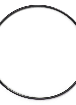 AGCO | O-RING - AG724204