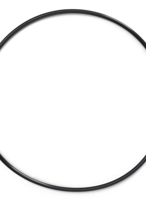 AGCO | O-RING - AG724204