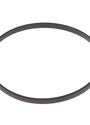 Close-up of AGCO's Sealing Washer - F214301020200, a thin, circular metal band against a white background.